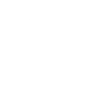 Het logo van DV Web & Marketing
